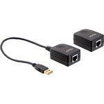 DeLock USB-Erweiterung - extern - bis zu 50 m 61733