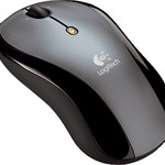 Maus Logitech LX5 Cordless 931451-0914