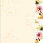 Sigel Motivpapier DP788 DP788 VE50