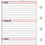 Chronoplan Wochenplan Midi 50251-2012
