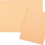 5 Star Aktendeckel chamois VE=100