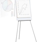 5 Star Flipchart Office