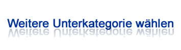 Zusatzartikel